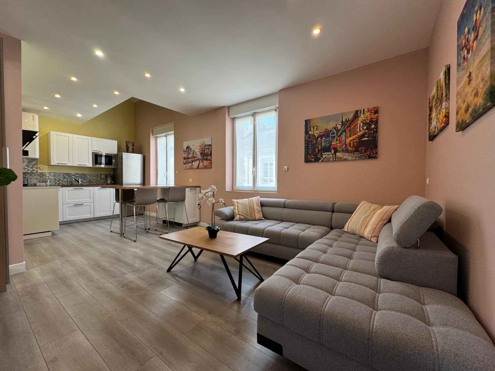 70M2 Climatise - Parking Prive - Lycee Roosevelt - Reims Arena Apartment Exterior foto